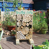 Outdoor Wooden Discovery Bug's Life