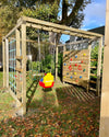 The Ninja Climbing Frame